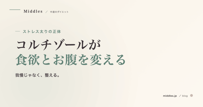 ストレス太りの正体。コルチゾールが食欲とお腹周りを変える仕組み