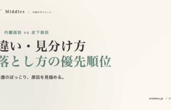 内臓脂肪 vs 皮下脂肪。違い・見分け方・落とし方の優先順位