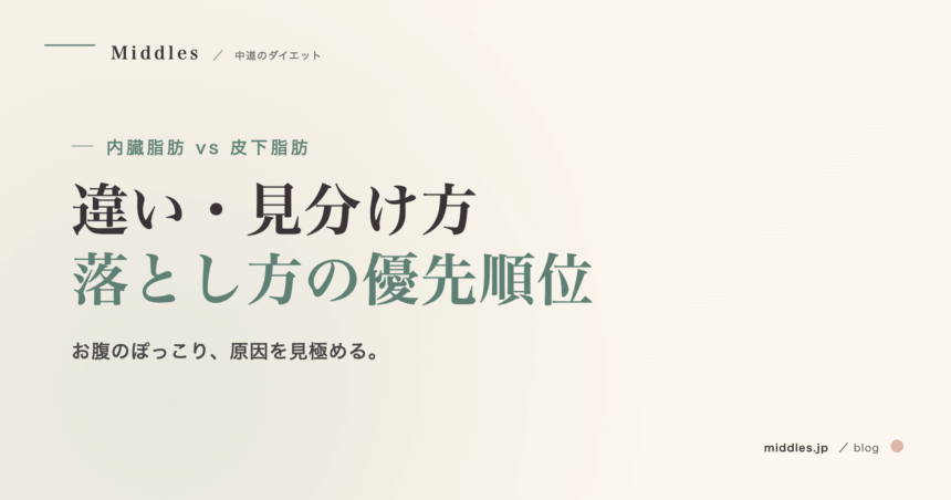 内臓脂肪 vs 皮下脂肪。違い・見分け方・落とし方の優先順位